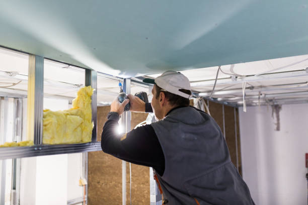 Best Local Insulation Services  in Dobbs Ferry, NY