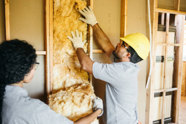 Best Spray Foam Insulation  in Dobbs Ferry, NY