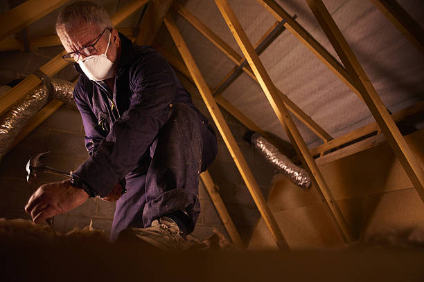 Best Local Insulation Services  in Dobbs Ferry, NY